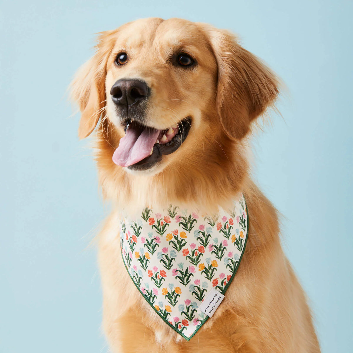 The Foggy Dog - Bandana Dog Tulips Spring