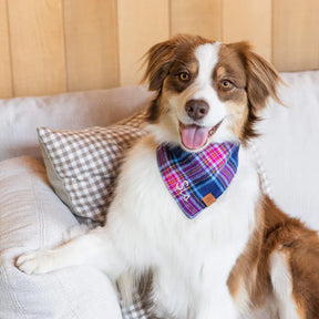 The Foggy Dog - Bandana Dog Camilla Plaid Flannel Fall