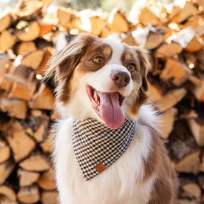 The Foggy Dog - Bandana Dog Houndstooth Flannel Fall