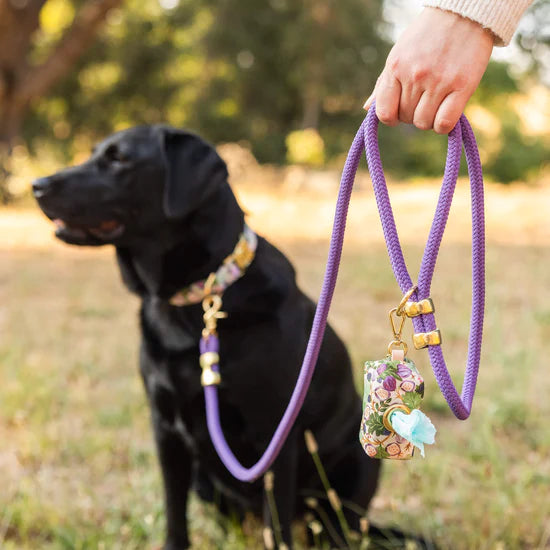 The Foggy Dog - Waste Bag Dispenser - Figs & Berries Fall