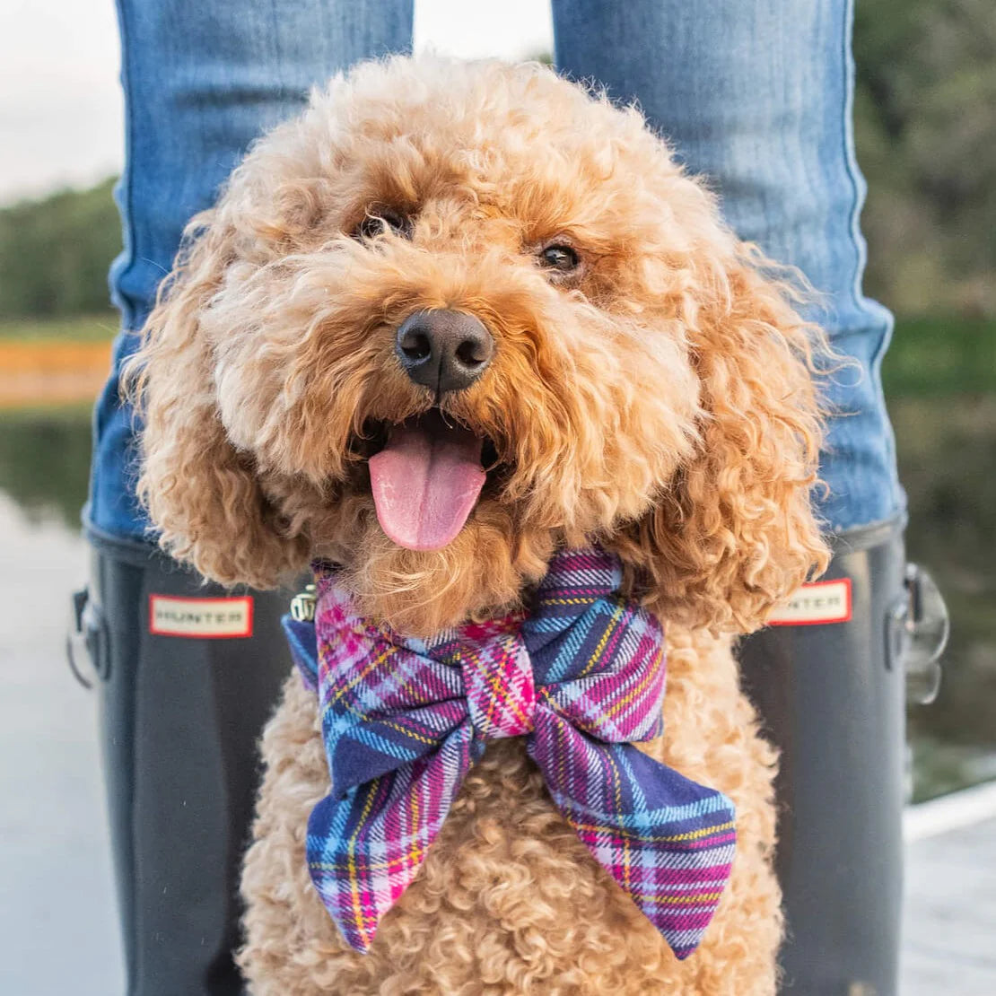 The Foggy Dog - Dog Bow Lady Camilla Plaid