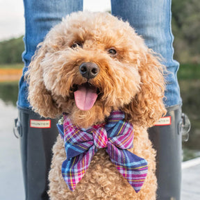 The Foggy Dog - Dog Bow Lady Camilla Plaid