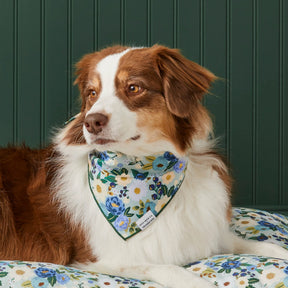 The Foggy Dog - Bandana Dog Rifle Paper Co. x TFD Vintage Blossom
