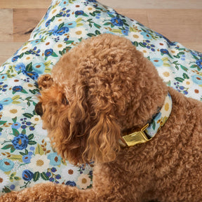 The Foggy Dog - Dog Collar Rifle Paper Co x TFD	Vintage Blossom Spring
