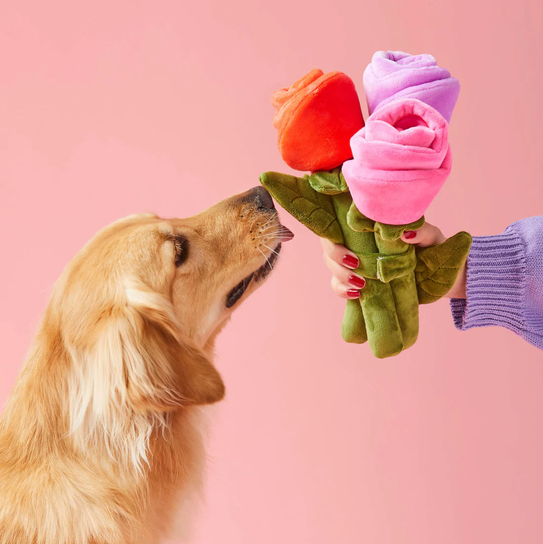 The Foggy Dog - Dog Toy Bouquet of Roses