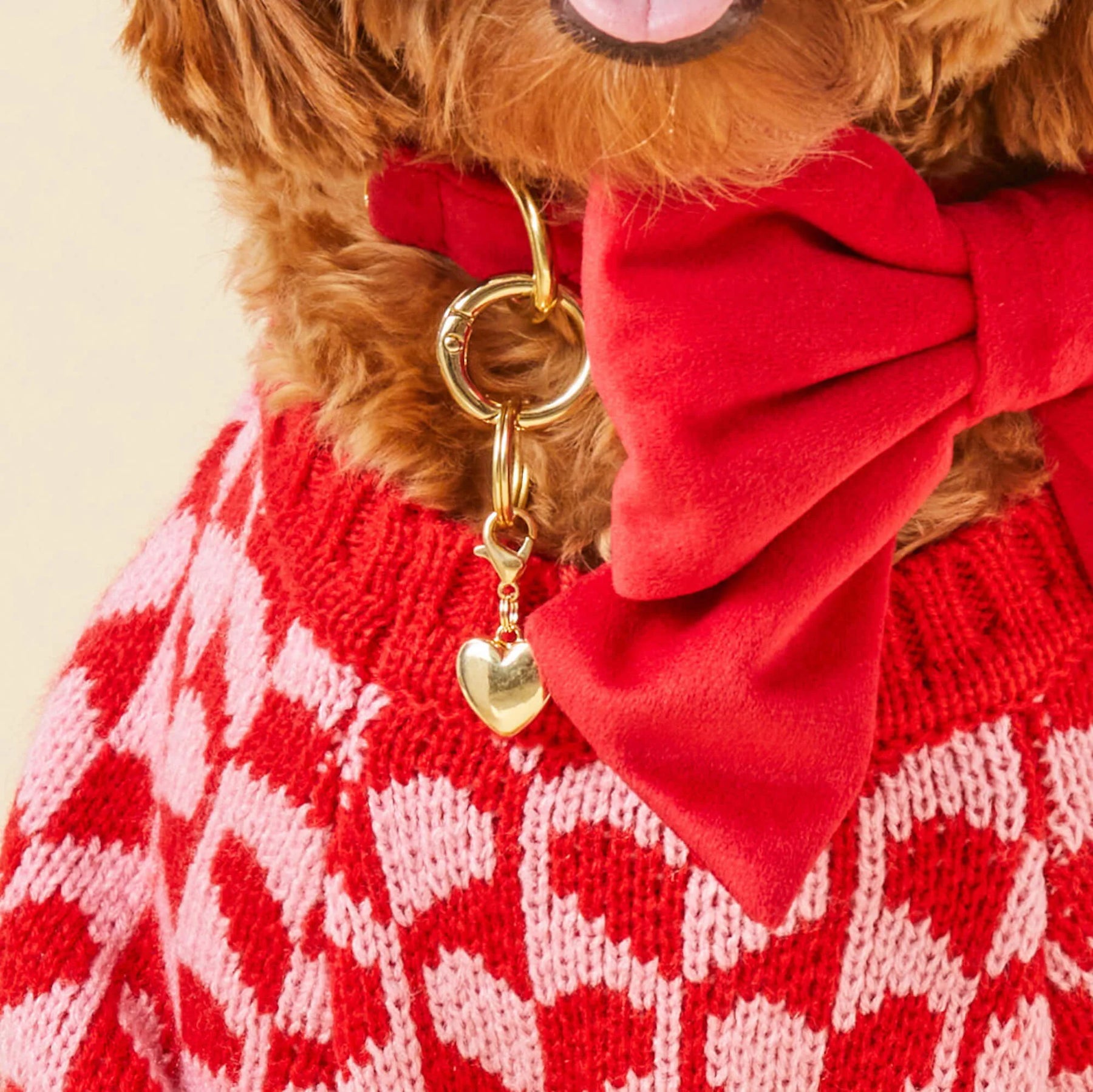 Foggy Dog - Dog Charm Two Sided For Collar - Southern Agriculture 