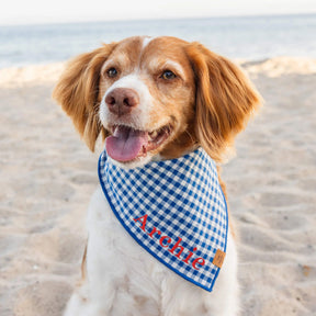 The Foggy Dog - Bandana Lake Blue Gingham Summer