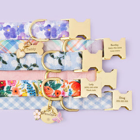 The Foggy Dog - Dog Collar Sky Blue Gingham