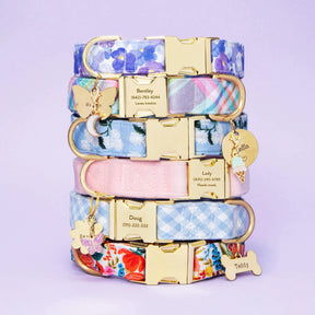 The Foggy Dog - Dog Collar Sky Blue Gingham