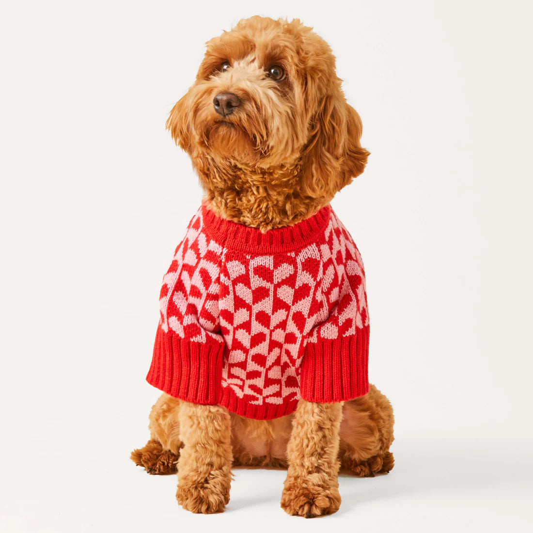 The Foggy Dog - Dog Sweater Heart Stripe