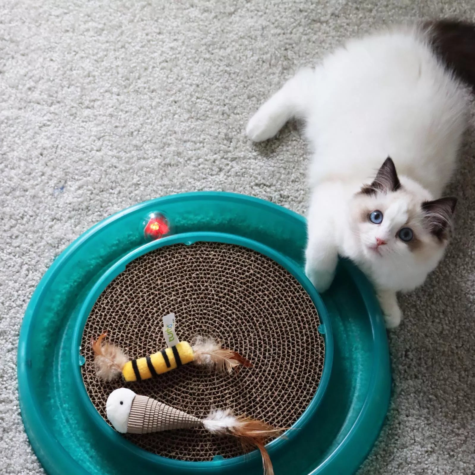 Bergan - Star Chaser Cat Toy - Replacement Ball