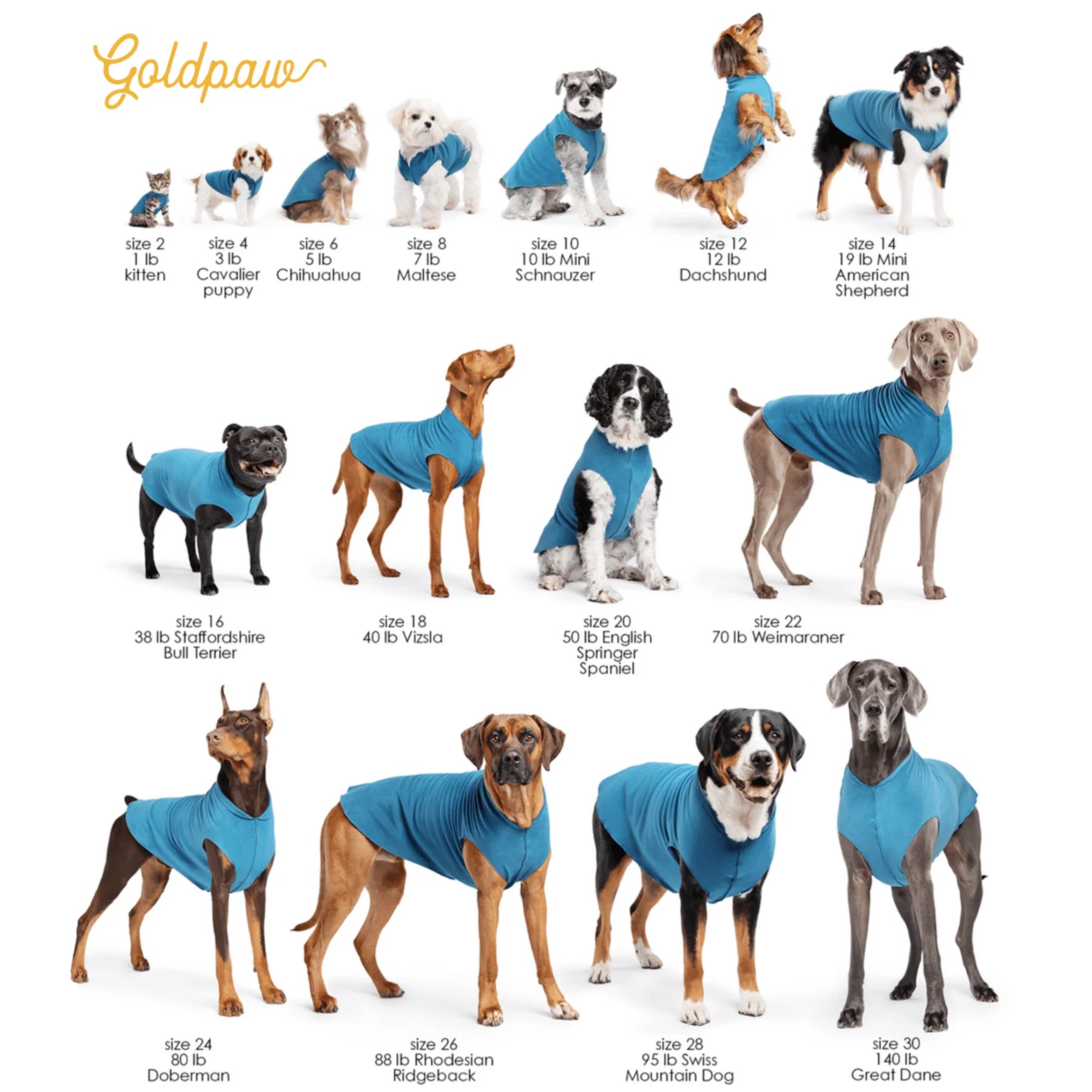 GoldPaw - Sun Shield Tee Ocean Blue