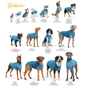 GoldPaw - Sun Shield Tee Ocean Blue