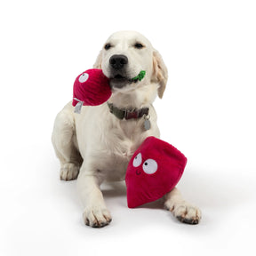 Huxley & Kent - Dog Toy Pop'n Fetch Beet