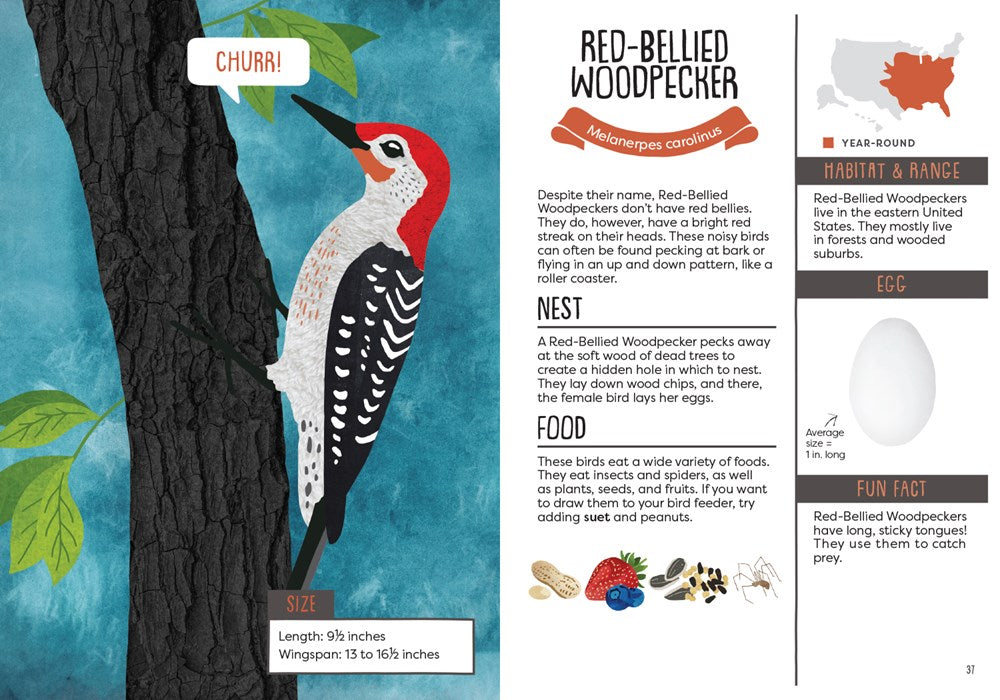 Gibbs Smith - Kid's Guide to Backyard Birds