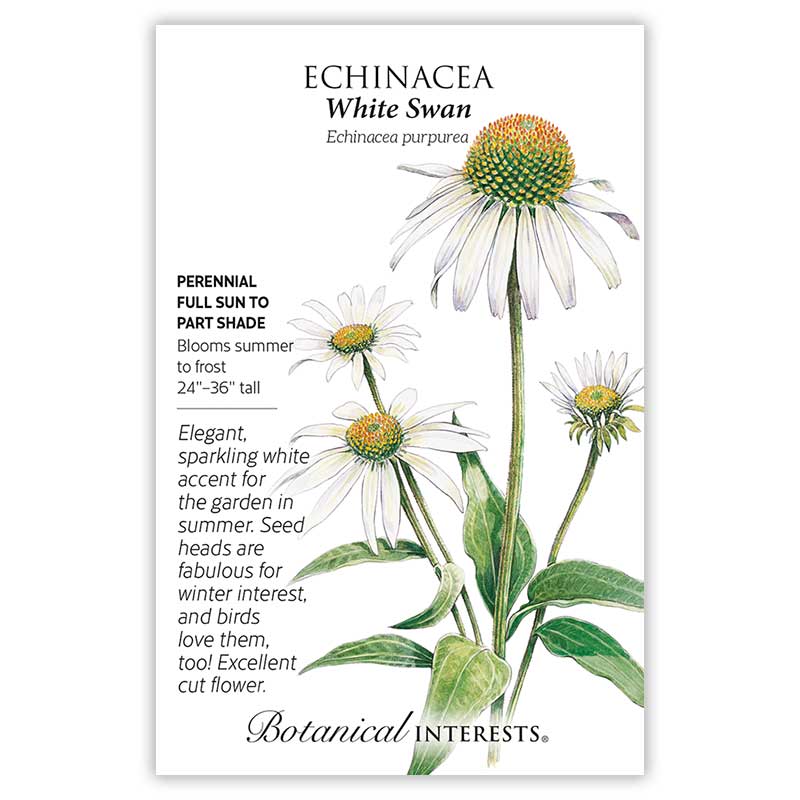 Botanical Interests, Inc. - Echinacea White Swan Seeds - Southern Agriculture 