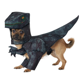 California Costumes - Halloween Costume Pupasaurus Rex