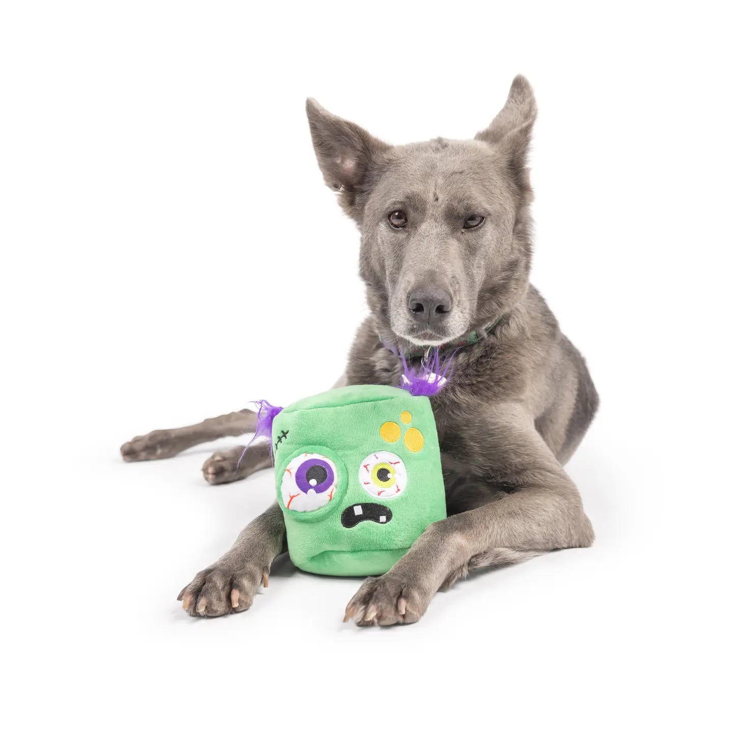 Huxley & Kent - Dog Toy Pop'n Fetch Pop-Eye Zombie