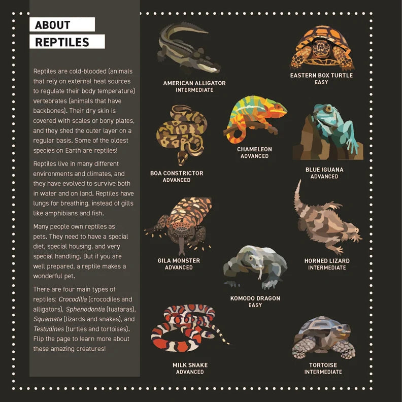 Wellspring- Activity Book - My Sticker Paintings: Reptiles