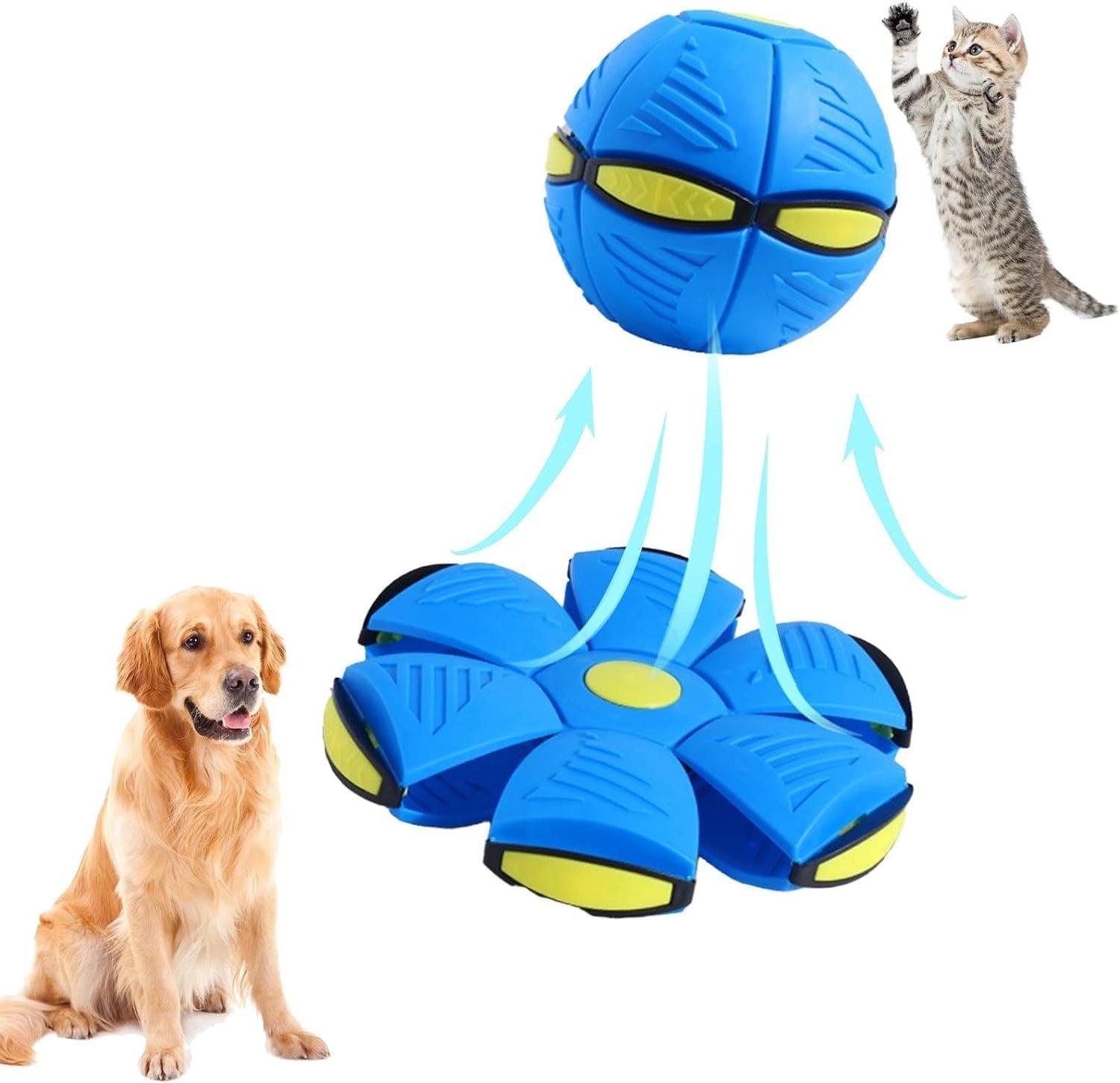 Vigor - Flying Saucer Ball - Outdoor