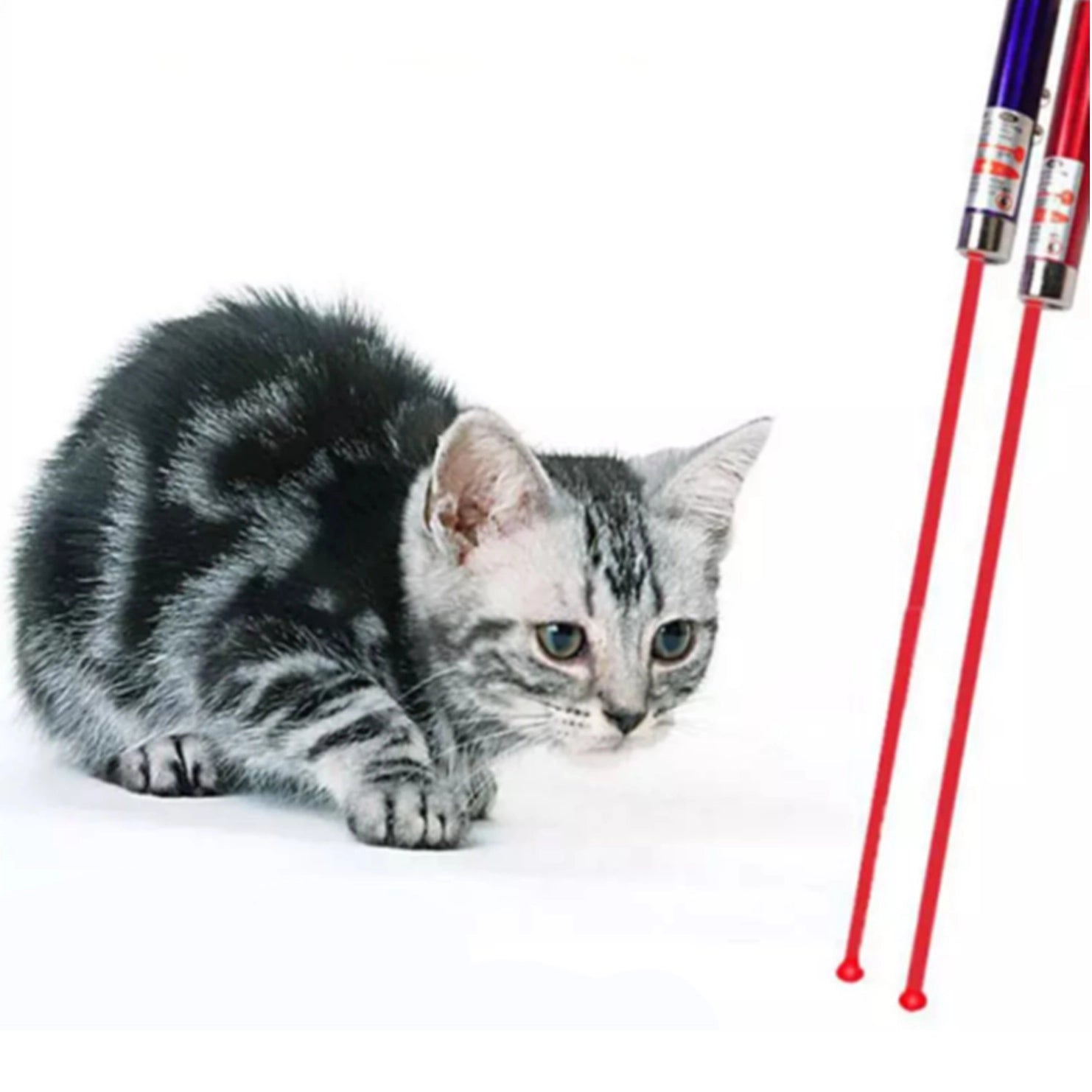Tsyware - Cat Toy Laser Pointer