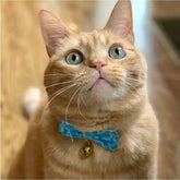 Moon-X USA - Cat Collar Kiku Ribbon Bow Tie