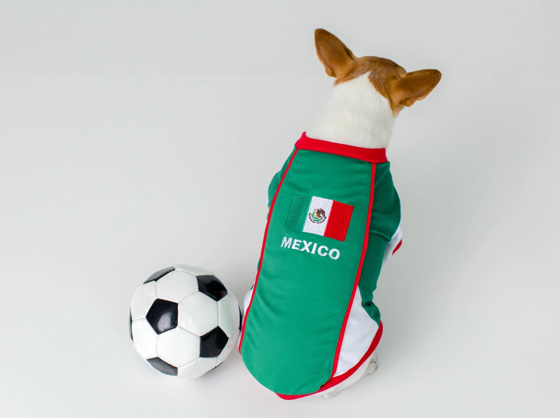 Parisian Pet - Dog Jersey Team Mexico