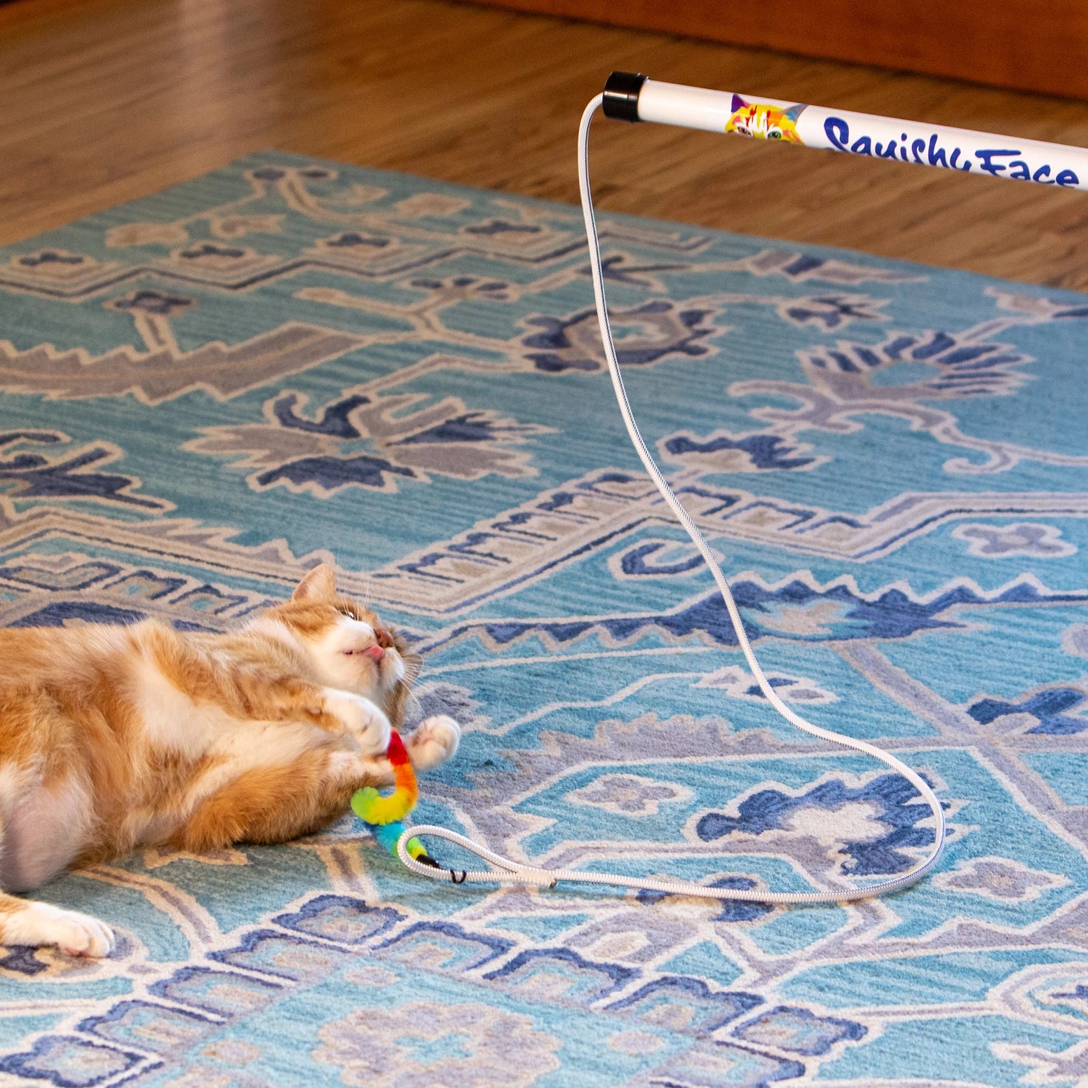Squishy Face Studio - Cat Excercise Toy