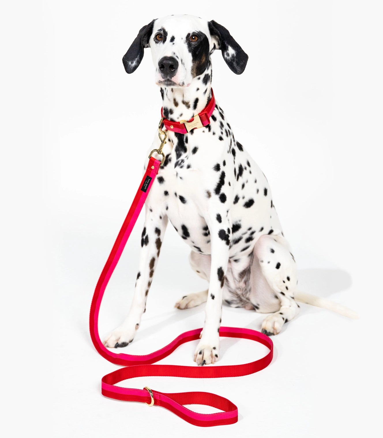 Kate Spade - Dog Leash Red And Pink