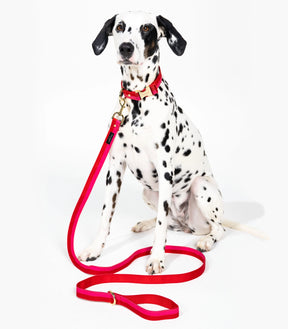 Kate Spade - Dog Leash Red And Pink