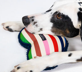 Kate Spade - Dog Chew Toy Heart