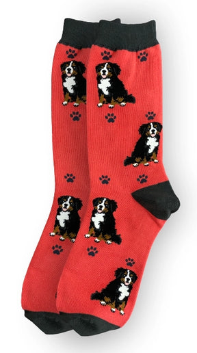 E & S Imports - Socks Bernese Mountain Dog Full Body