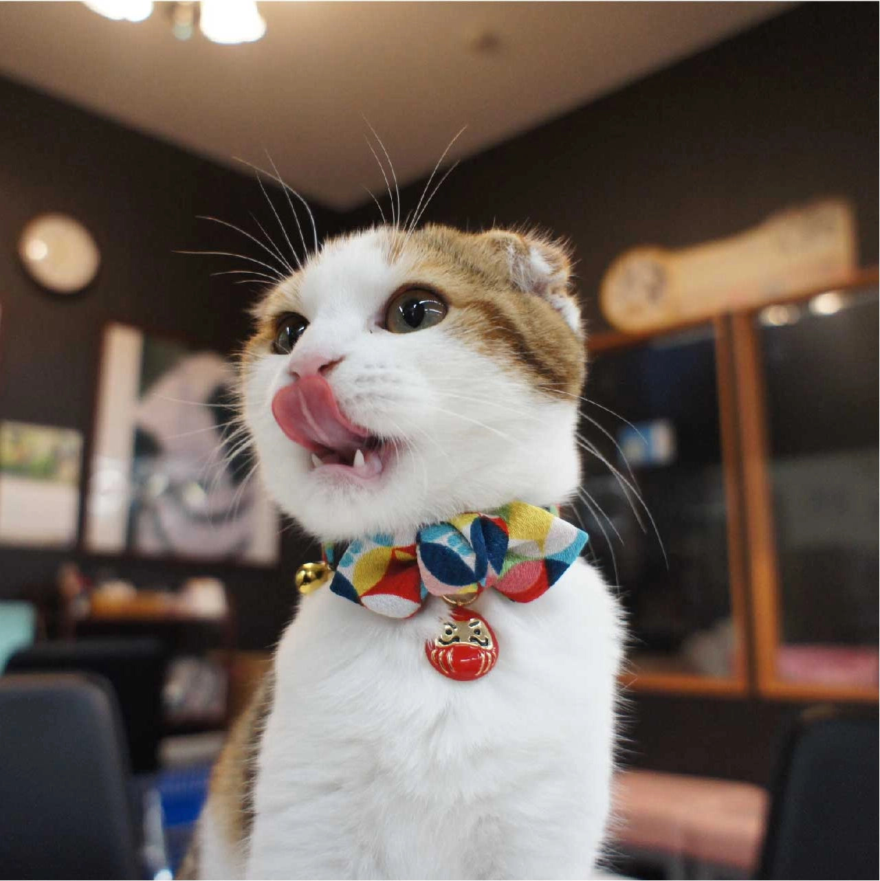 Moon-X USA - Cat Collar Daruma Charm Bowtie