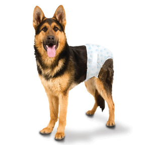 Four Paws - Wee-Wee Disposable Dog Diapers