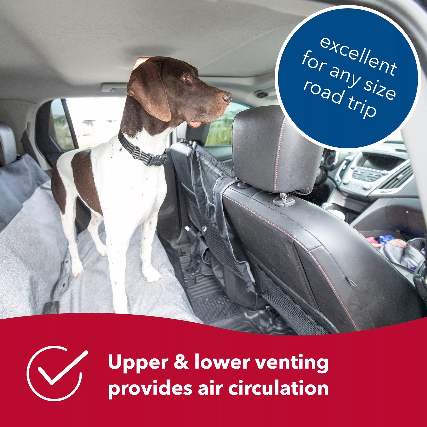 Bergan - Auto Travel Dog Barrier