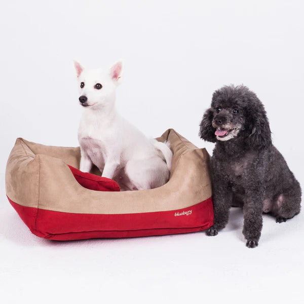 Blueberry Pet - Color-Block Premium Microsuede Dog Bed Cover