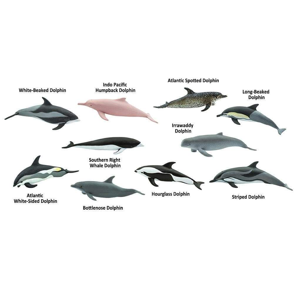 Safari Ltd - Toob Dolphins