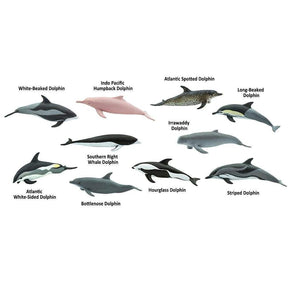 Safari Ltd - Toob Dolphins