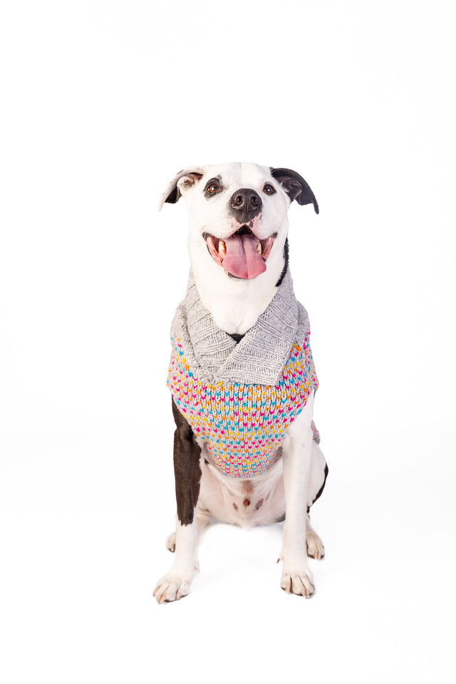Chilly Dog - Dog Sweater Sprinkles