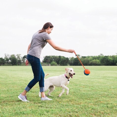 Petmate - Rope Fetch Ball With Bungee Handle Stored On Sides