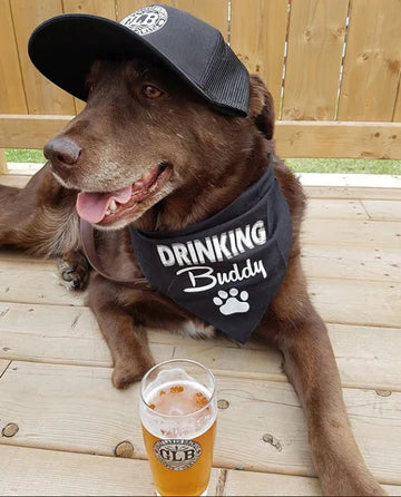 FunDog Bandanas - Dog Bandana Drinking Buddy