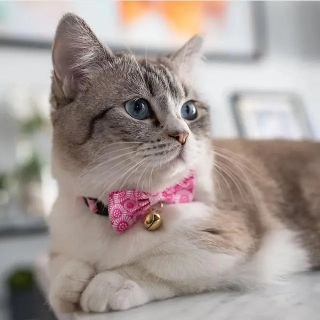 Moon-X USA - Cat Collar Kiku Ribbon Bow Tie