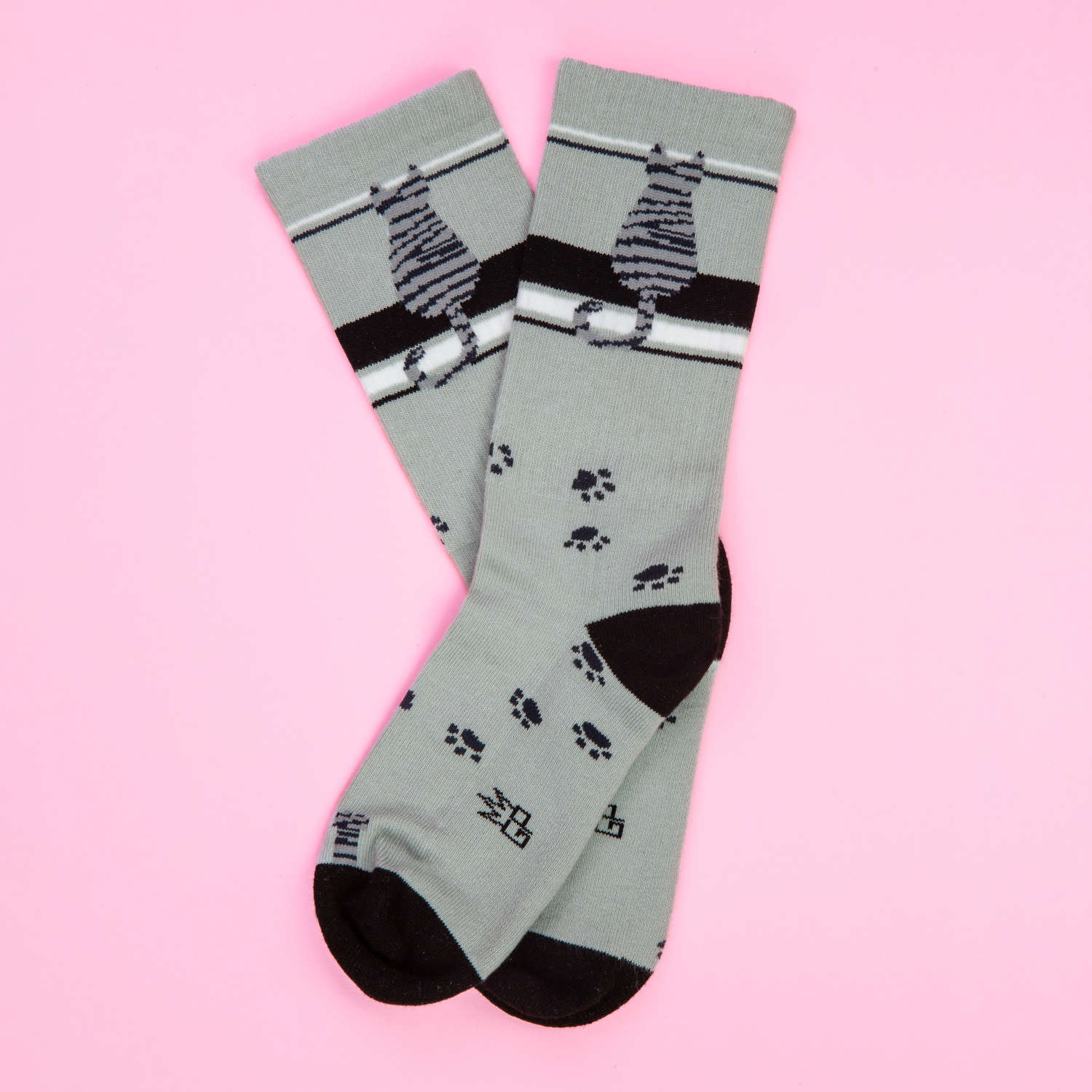 Gumball Poodle - Socks Cat Sitting Gray Tabby