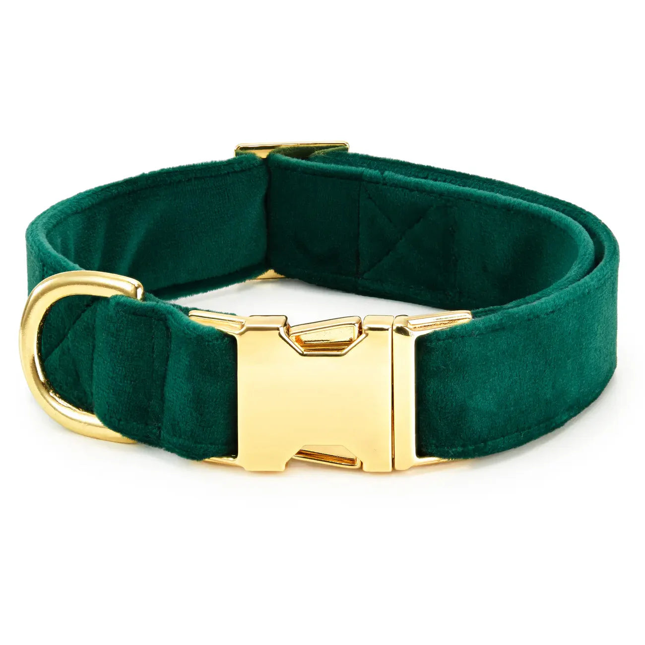The Foggy Dog - Dog Collar Forest Green