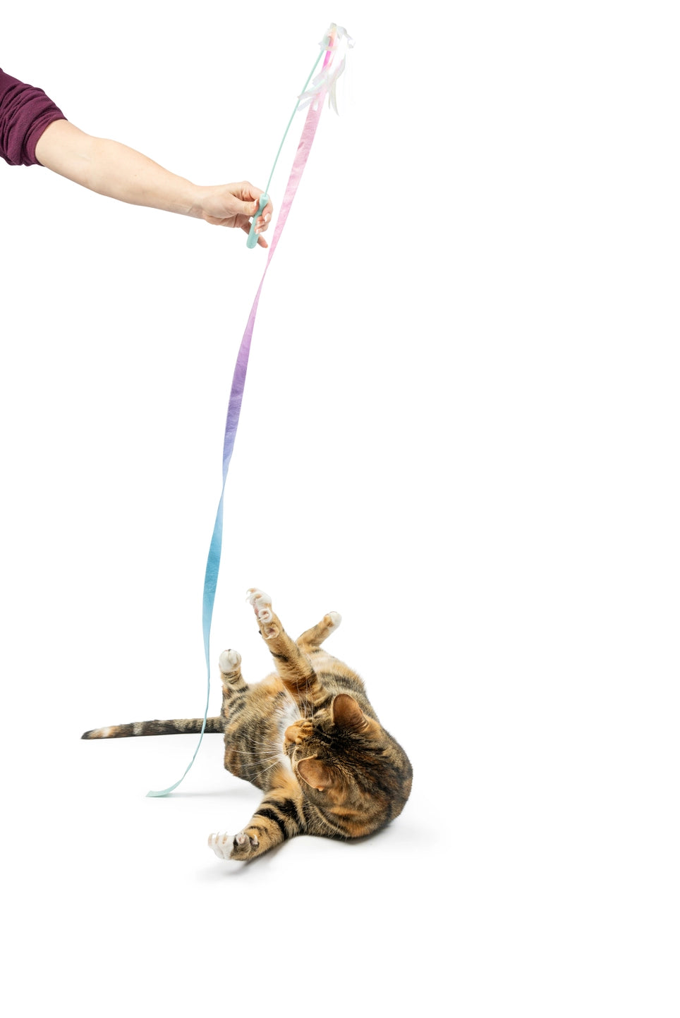 Huxley & Kent - Dance & Lure Pastel Wand Cat Toy