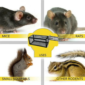 Tsyware - Mouse Trap Catch & Release