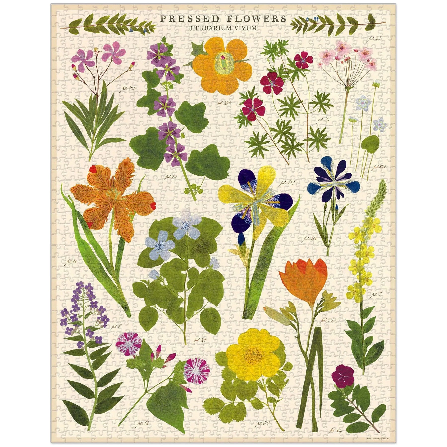 Cavallini & Co. - Puzzle Pressed Flowers - Southern Agriculture 