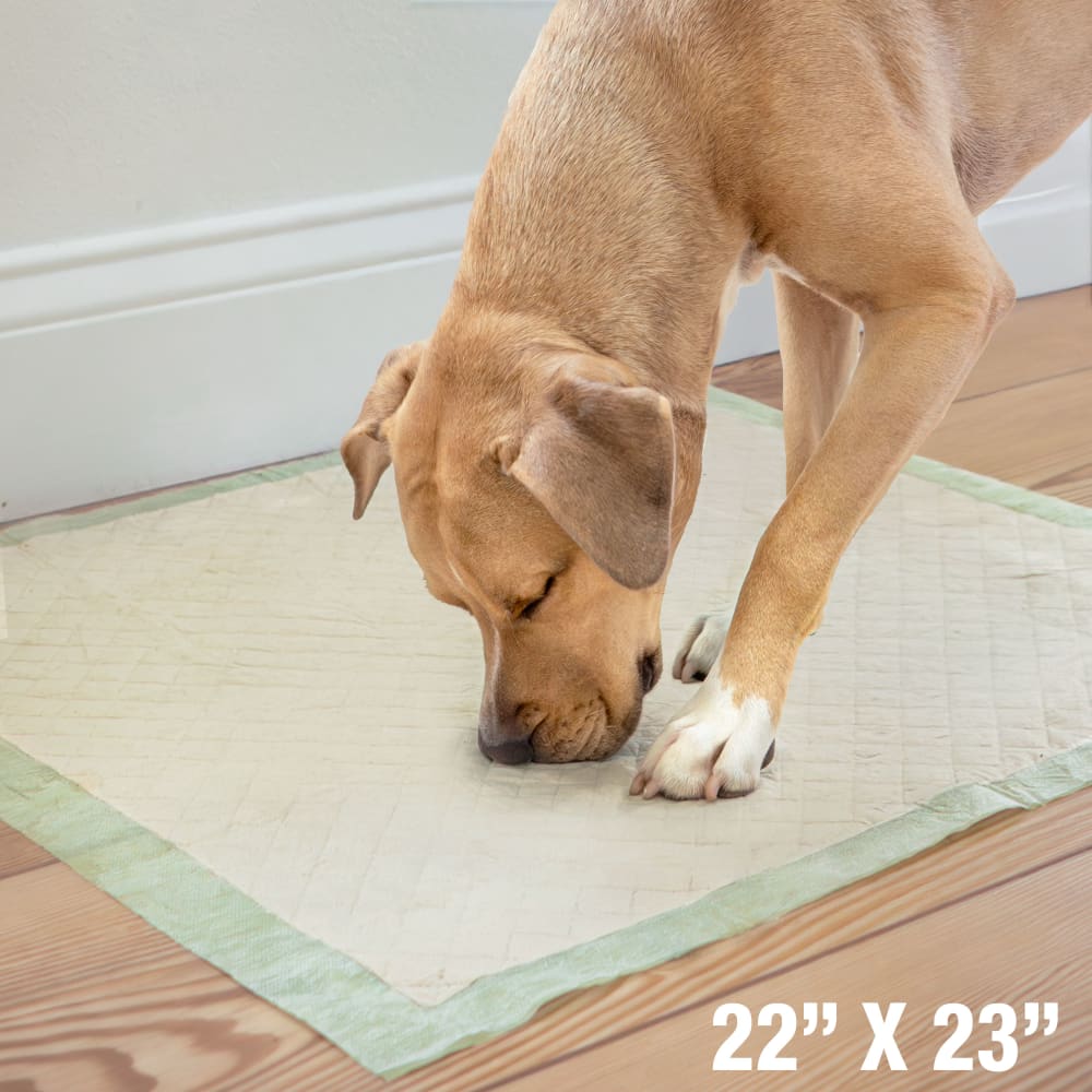 Four Paws - Wee-Wee Pads with Bamboo