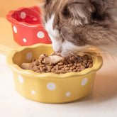PawPaw Wholesale - Cat Bowl Ceramic Polka Dot