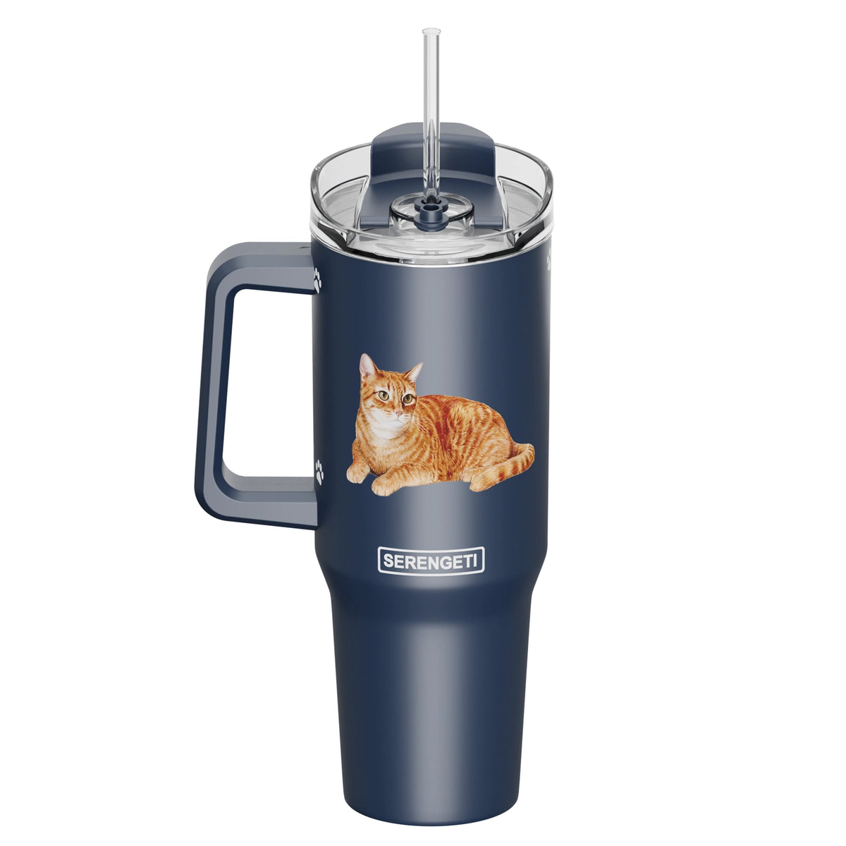 E & S Imports - Tumbler with Handle & Straw Cat Orange Tabby